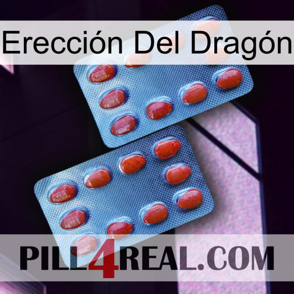 Erección Del Dragón 05.jpg